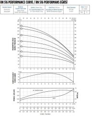 İmpo 4''-5'' RN 516/10 Tek Dalgıç Pompa, 5,5 Hp