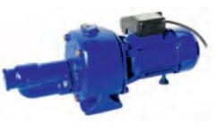 Water Sound JDP750B - 2 Hp - İki Kademeli Jet Pompa