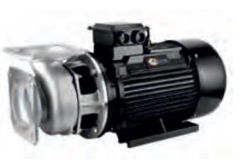 Water Sound ZL-150S-11 - 15 Hp - 380V Deniz Suyuna Dayanıklı Paslanmaz Gövdeli Pompa