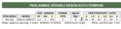 Water Sound QSB-JH-1000127 - 1.3 Hp - 220V Paslanmaz Gövdeli Keson Kuyu Pompası