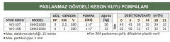 Water Sound 6MXS1003 - 3 Hp - 220V Paslanmaz Gövdeli Keson Kuyu Pompası