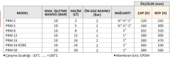 Wates PRM 8 - 8 LT - 10 Bar Ayaksız Genleşme Tankı
